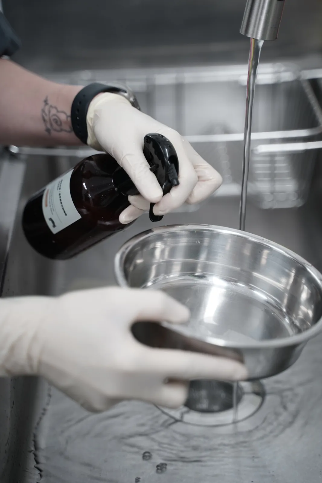 Concordia team member using Maocasa cleaning spray on a stainless-steel pet bowl